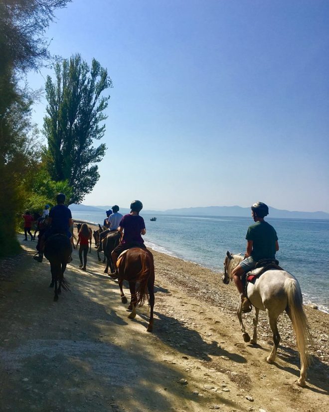 40875977_10156432016701287_2339350059134484480_n